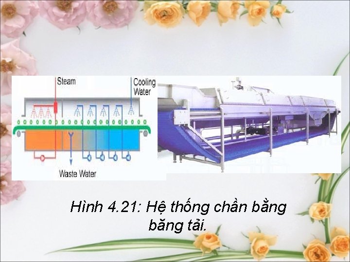 Hình 4. 21: Hệ thống chần bằng băng tải. 