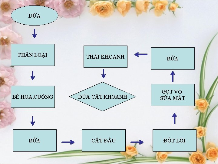 DỨA PH N LOẠI BẺ HOA, CUỐNG RỬA THÁI KHOANH DỨA CẮT KHOANH CẮT