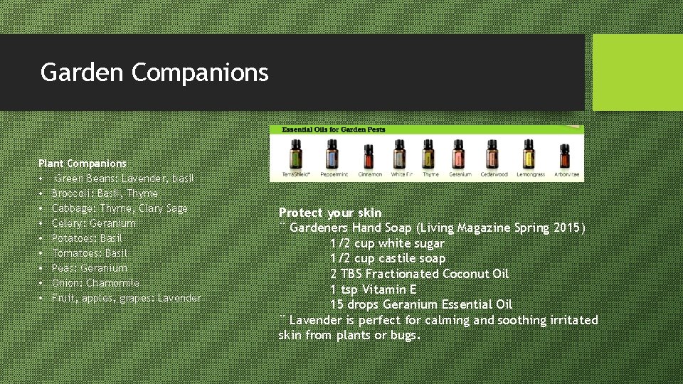Garden Companions Plant Companions • Green Beans: Lavender, basil • Broccoli: Basil, Thyme •
