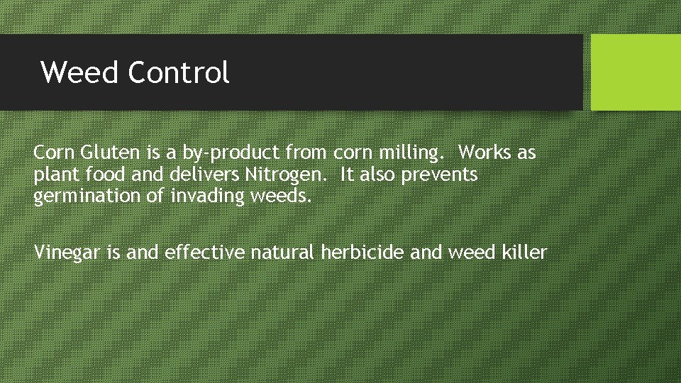 Weed Control Corn Gluten is a by-product from corn milling. Works as plant food