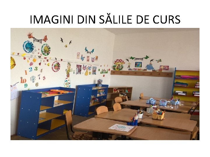 IMAGINI DIN SĂLILE DE CURS 