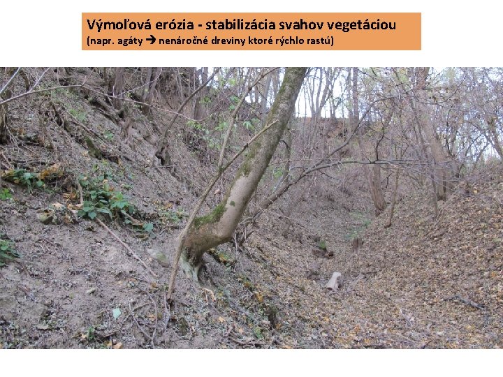 Výmoľová erózia - stabilizácia svahov vegetáciou (napr. agáty nenáročné dreviny ktoré rýchlo rastú) 