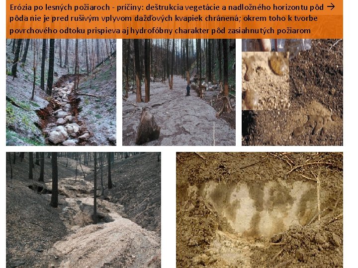 Erózia po lesných požiaroch - príčiny: deštrukcia vegetácie a nadložného horizontu pôda nie je