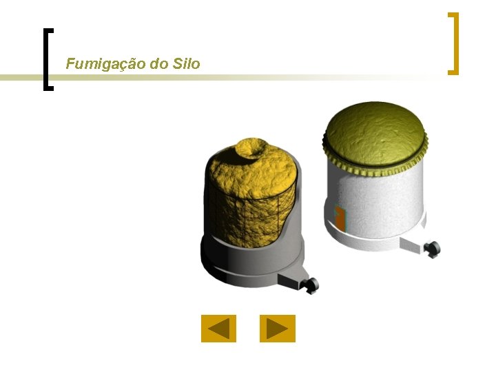 Fumigação do Silo 