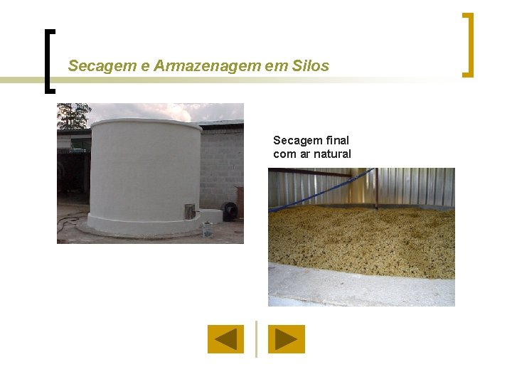 Secagem e Armazenagem em Silos Secagem final com ar natural 