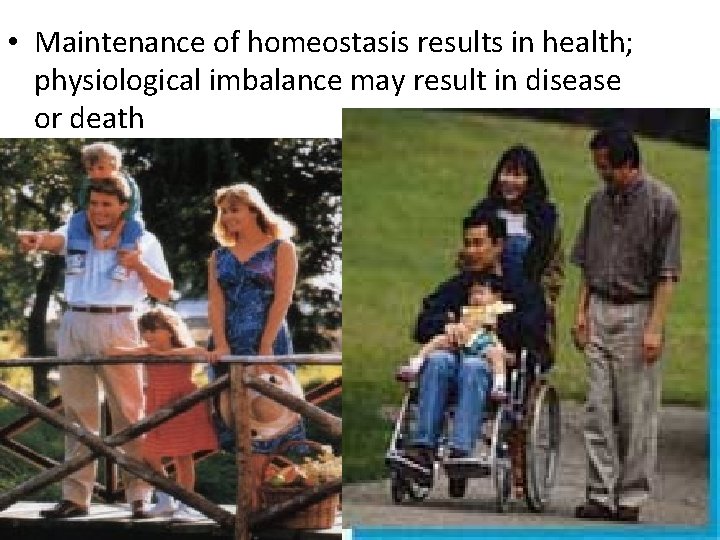  • Maintenance of homeostasis results in health; physiological imbalance may result in disease