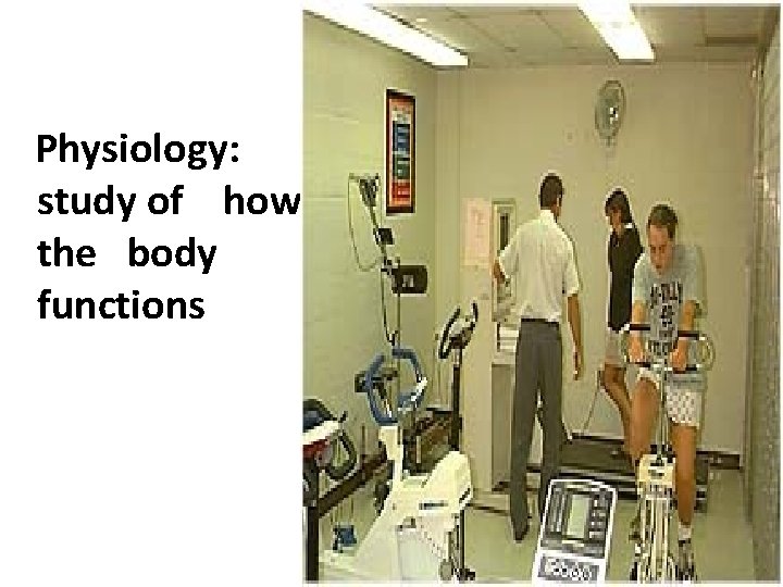 Physiology: study of how the body functions 