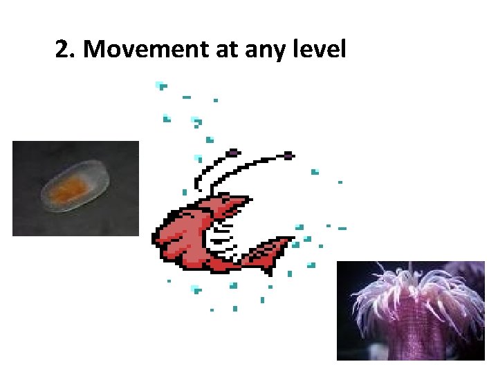 2. Movement at any level 