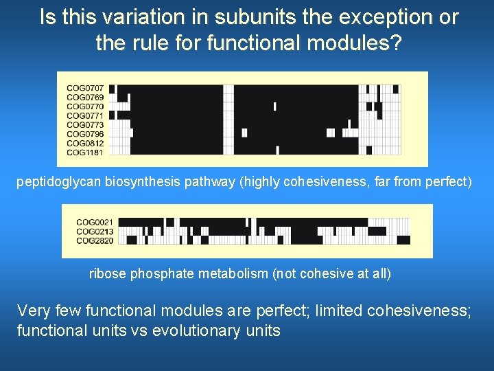 Is this variation in subunits the exception or the rule for functional modules? peptidoglycan