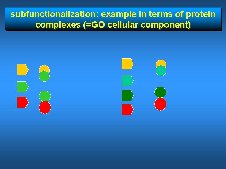 subfunctionalization: example in terms of protein complexes (=GO cellular component) 