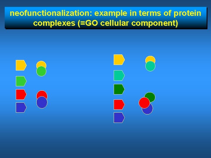 neofunctionalization: example in terms of protein complexes (=GO cellular component) 