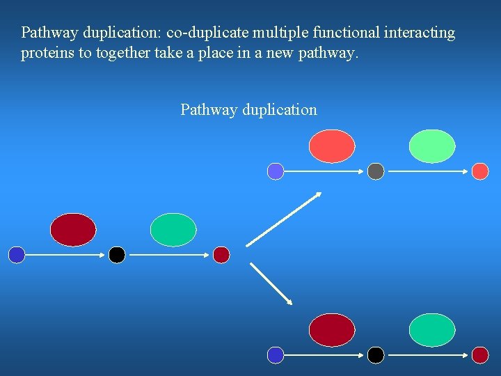 Pathway duplication: co-duplicate multiple functional interacting proteins to together take a place in a