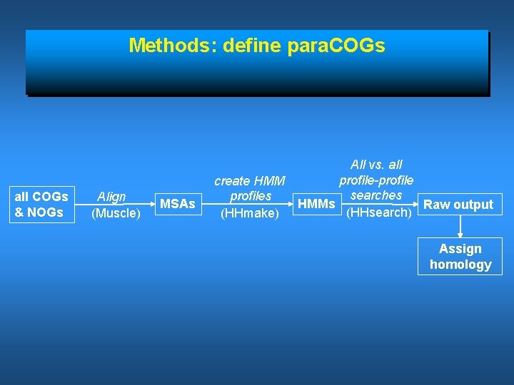 Methods: define para. COGs all COGs & NOGs Align (Muscle) MSAs create HMM profiles