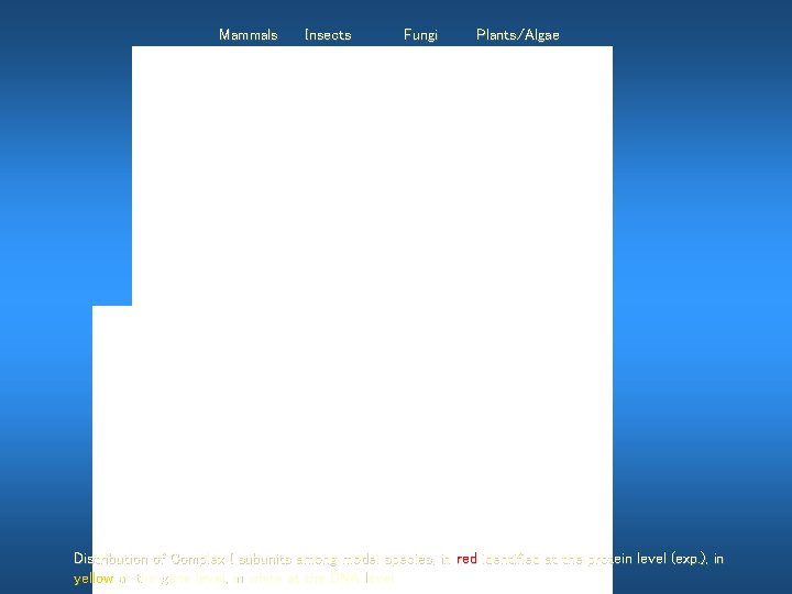 Mammals Insects Fungi Plants/Algae Distribution of Complex I subunits among model species, in red