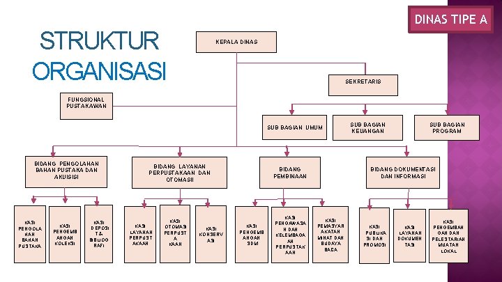 DINAS TIPE A STRUKTUR ORGANISASI KEPALA DINAS SEKRETARIS FUNGSIONAL PUSTAKAWAN SUB BAGIAN UMUM BIDANG