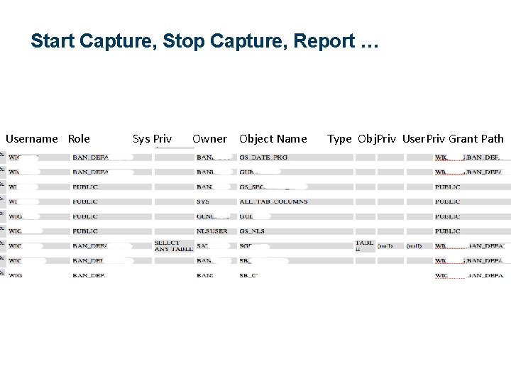 Start Capture, Stop Capture, Report … Username Role Sys Priv Owner Object Name Type