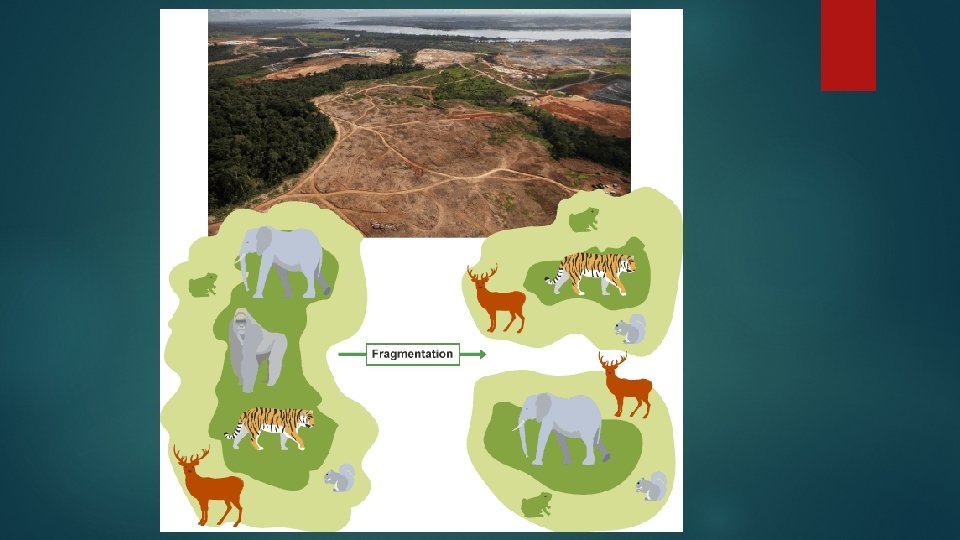 Conservation and Habitat Loss UNIT 3 RESOURCE SUSTAINABILITY