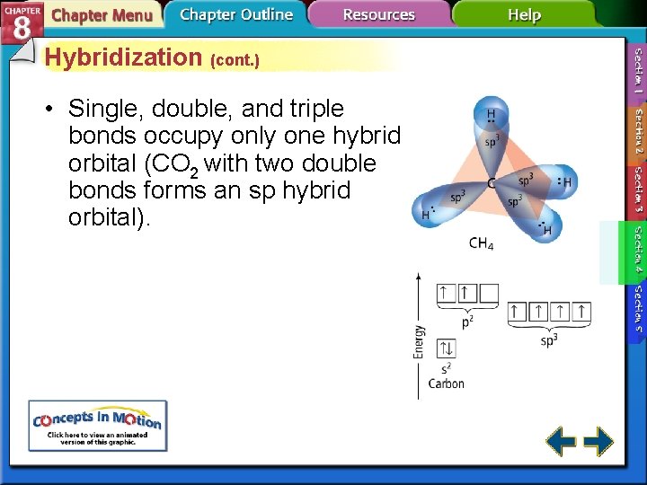 Hybridization (cont. ) • Single, double, and triple bonds occupy only one hybrid orbital Hybridization (cont. ) • Single, double, and triple bonds occupy only one hybrid orbital