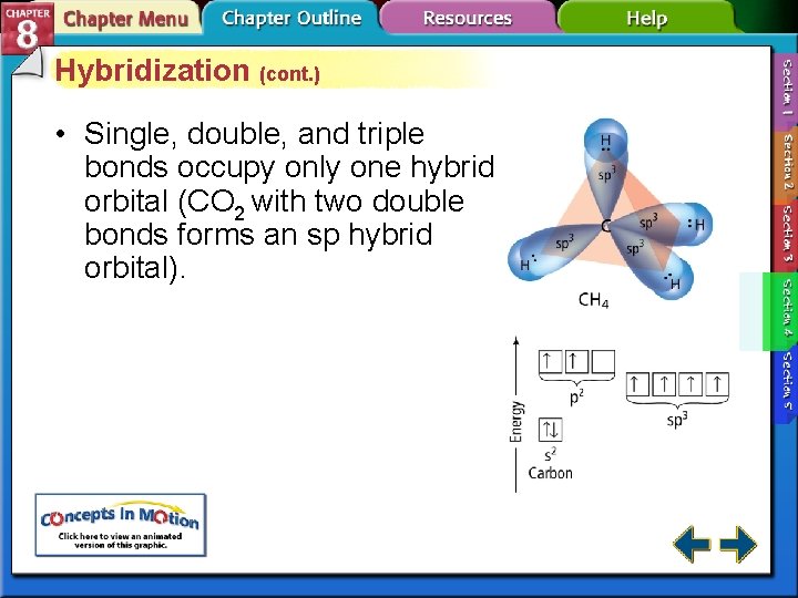 Hybridization (cont. ) • Single, double, and triple bonds occupy only one hybrid orbital