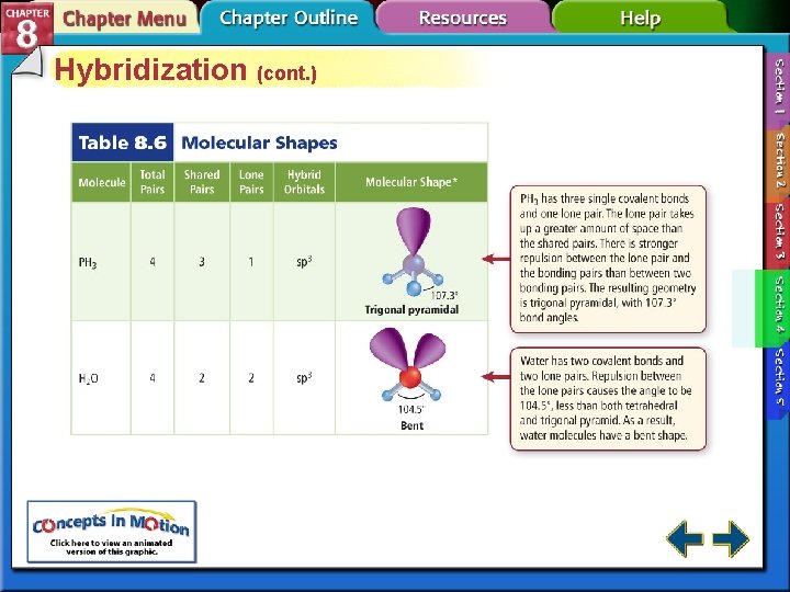 Hybridization (cont. ) 