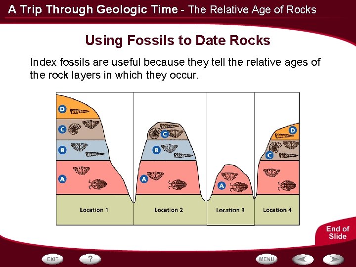A Trip Through Geologic Time - The Relative Age of Rocks Using Fossils to