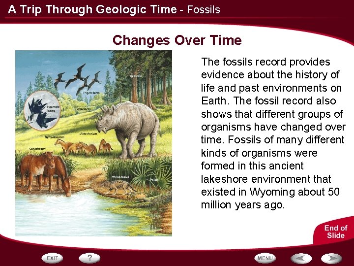A Trip Through Geologic Time - Fossils Changes Over Time The fossils record provides