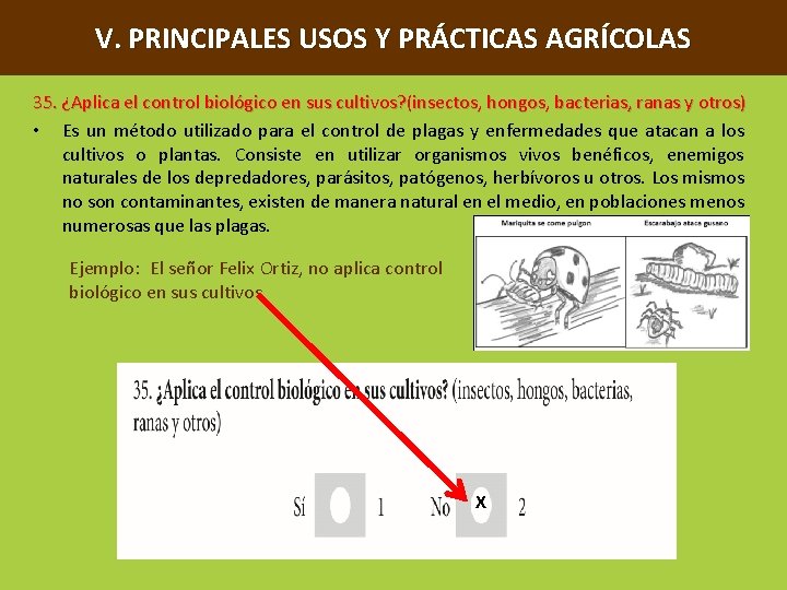 V. PRINCIPALES USOS Y PRÁCTICAS AGRÍCOLAS 35. ¿Aplica el control biológico en sus cultivos?