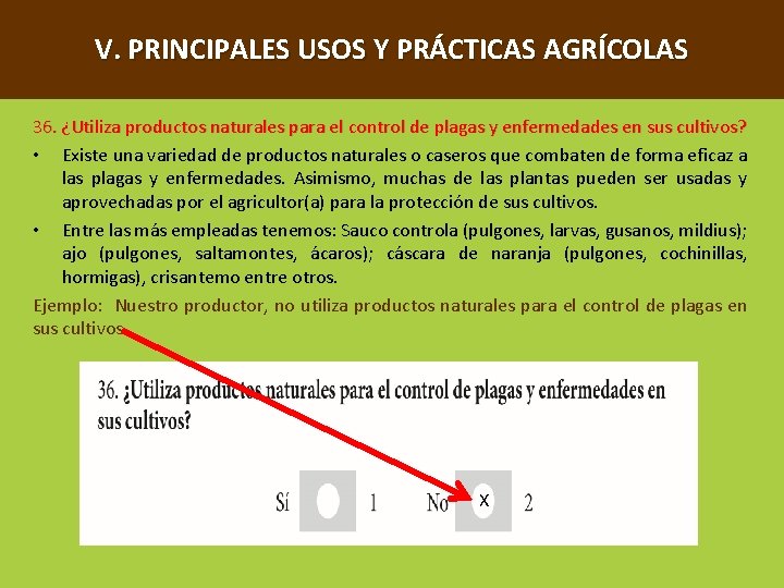 V. PRINCIPALES USOS Y PRÁCTICAS AGRÍCOLAS 36. ¿Utiliza productos naturales para el control de