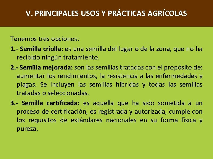 V. PRINCIPALES USOS Y PRÁCTICAS AGRÍCOLAS Tenemos tres opciones: 1. - Semilla criolla: es