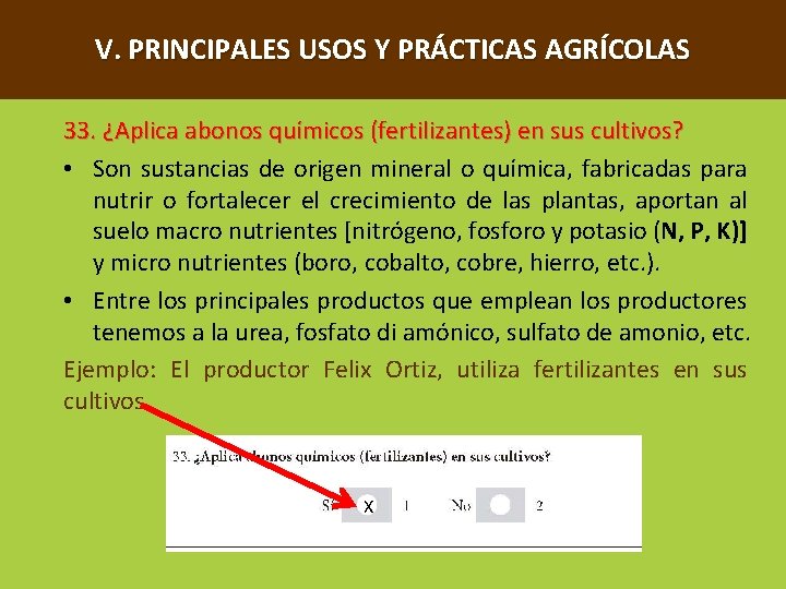 V. PRINCIPALES USOS Y PRÁCTICAS AGRÍCOLAS 33. ¿Aplica abonos químicos (fertilizantes) en sus cultivos?