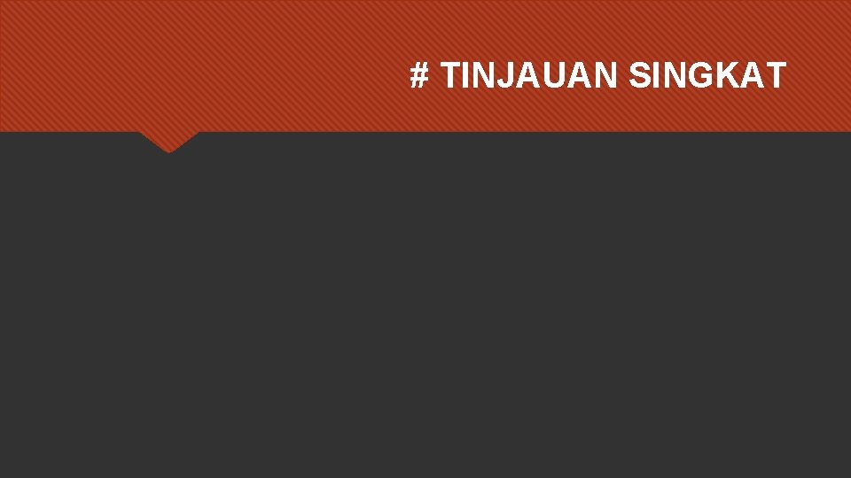 # TINJAUAN SINGKAT 