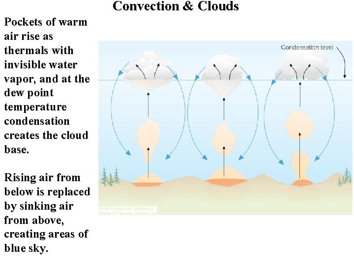 Convection & Clouds Pockets of warm air rise as thermals with invisible water vapor,