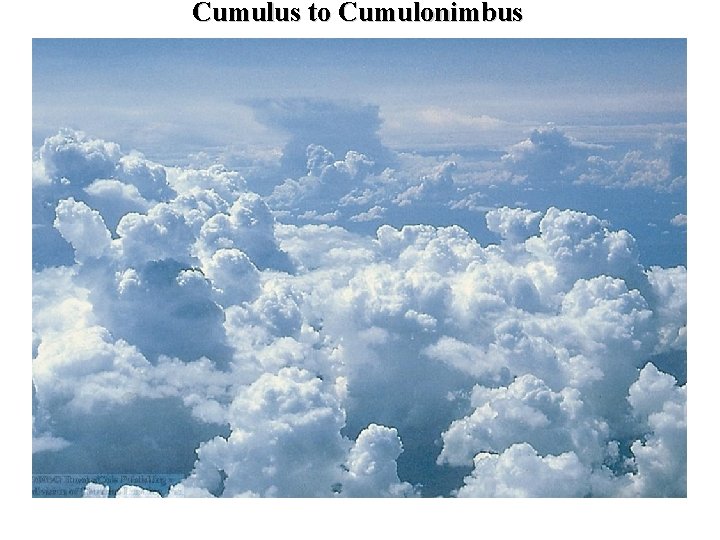 Cumulus to Cumulonimbus 
