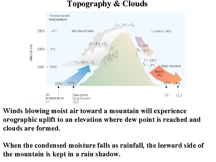 Topography & Clouds Winds blowing moist air toward a mountain will experience orographic uplift