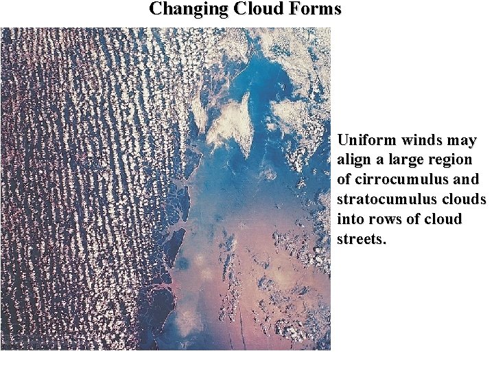 Changing Cloud Forms Uniform winds may align a large region of cirrocumulus and stratocumulus