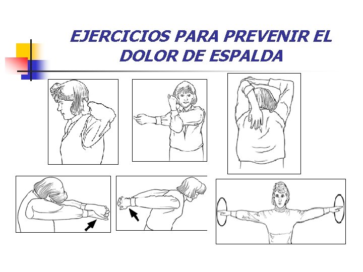 EJERCICIOS PARA PREVENIR EL DOLOR DE ESPALDA 