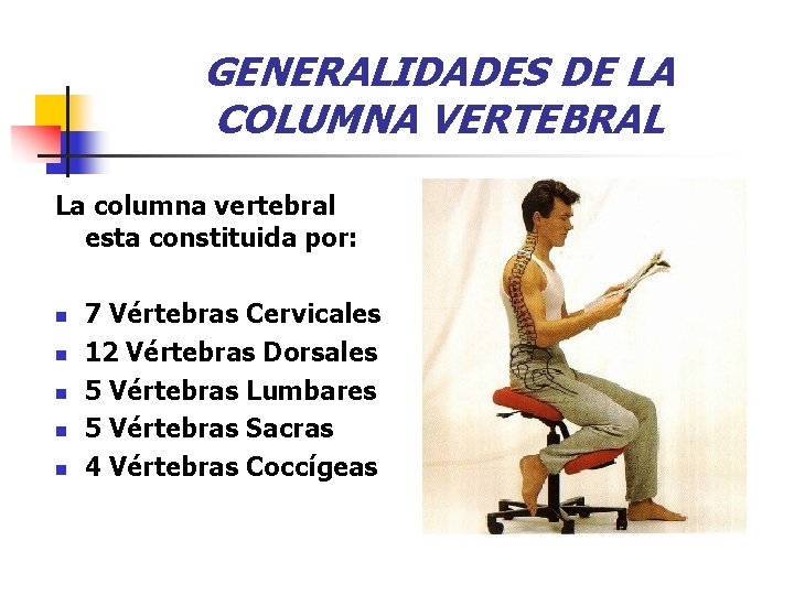 GENERALIDADES DE LA COLUMNA VERTEBRAL La columna vertebral esta constituida por: n n n