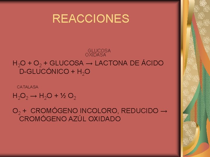 REACCIONES GLUCOSA OXIDASA H 2 O + O 2 + GLUCOSA → LACTONA DE