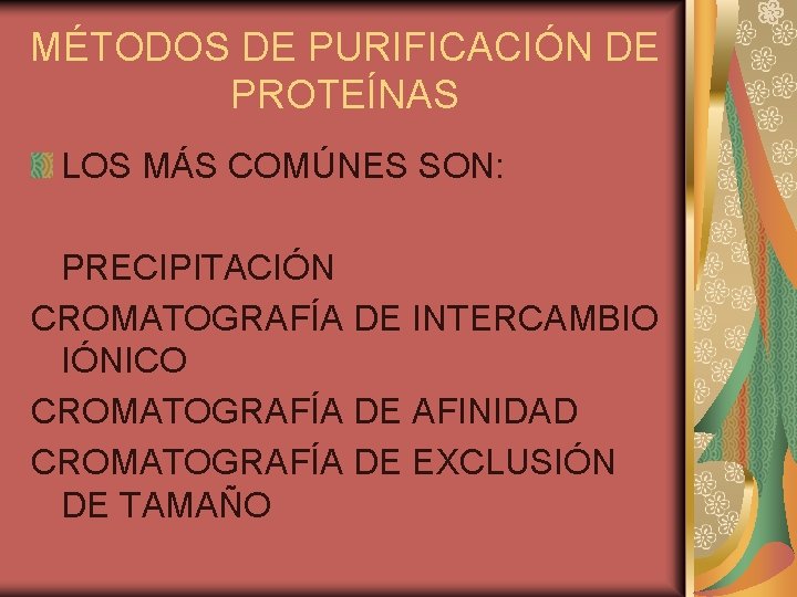 MÉTODOS DE PURIFICACIÓN DE PROTEÍNAS LOS MÁS COMÚNES SON: PRECIPITACIÓN CROMATOGRAFÍA DE INTERCAMBIO IÓNICO