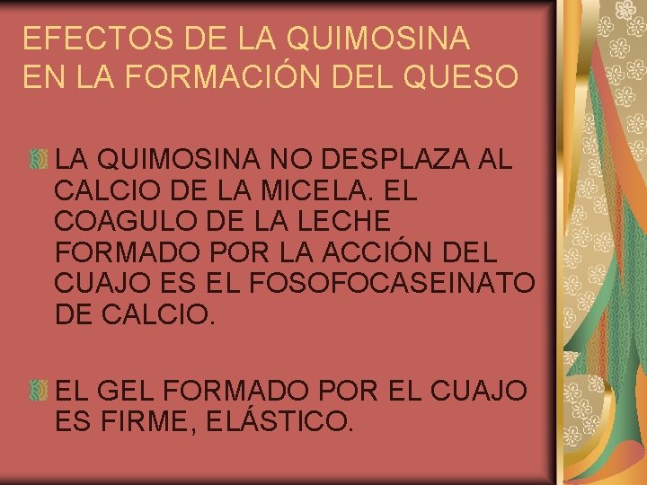 EFECTOS DE LA QUIMOSINA EN LA FORMACIÓN DEL QUESO LA QUIMOSINA NO DESPLAZA AL