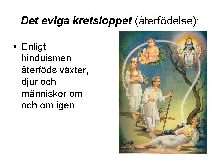 Det eviga kretsloppet (återfödelse): • Enligt hinduismen återföds växter, djur och människor om och