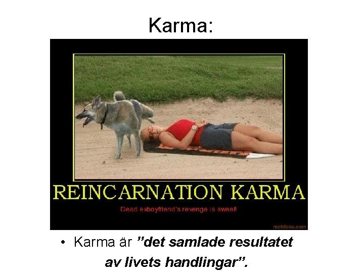Karma: • Karma är ”det samlade resultatet av livets handlingar”. 