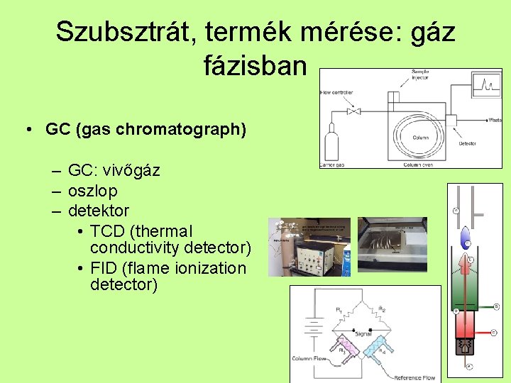 Szubsztrát, termék mérése: gáz fázisban • GC (gas chromatograph) – GC: vivőgáz – oszlop