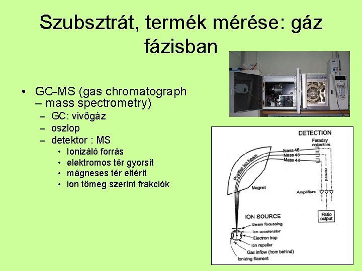 Szubsztrát, termék mérése: gáz fázisban • GC-MS (gas chromatograph – mass spectrometry) – GC: