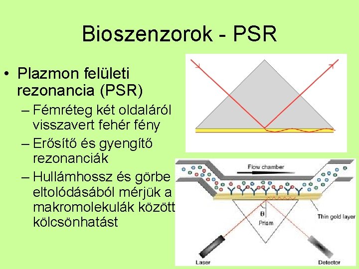 Bioszenzorok - PSR • Plazmon felületi rezonancia (PSR) – Fémréteg két oldaláról visszavert fehér