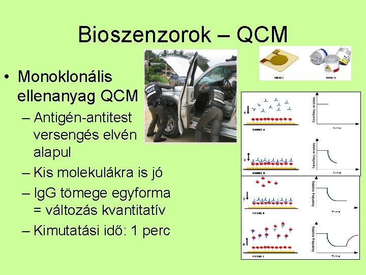 Bioszenzorok – QCM • Monoklonális ellenanyag QCM – Antigén-antitest versengés elvén alapul – Kis