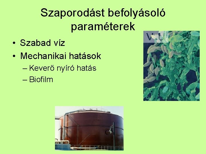 Szaporodást befolyásoló paraméterek • Szabad víz • Mechanikai hatások – Keverő nyíró hatás –