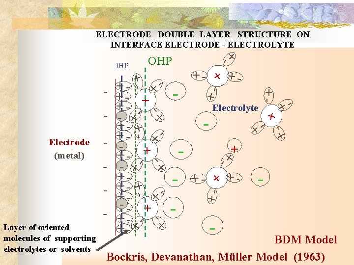 ELECTRODE DOUBLE LAYER STRUCTURE ON INTERFACE ELECTRODE - ELECTROLYTE - + - + -