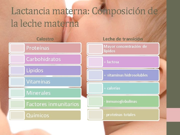 Lactancia materna: Composición de la leche materna Calostro Proteínas Carbohidratos Lípidos Leche de transición