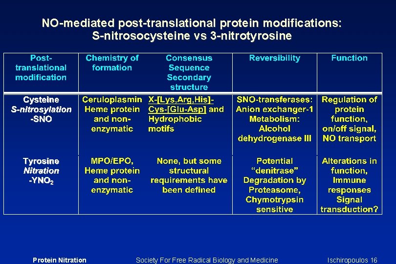 NO-mediated post-translational protein modifications: S-nitrosocysteine vs 3 -nitrotyrosine Protein Nitration Society For Free Radical